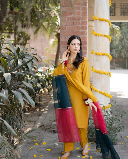 Roshni Dhanak Heavy 3pc Emboidery SM-1032